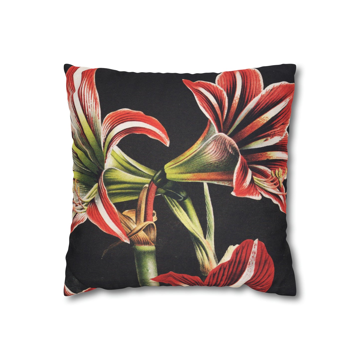 Amaryllis Square Pillow Case